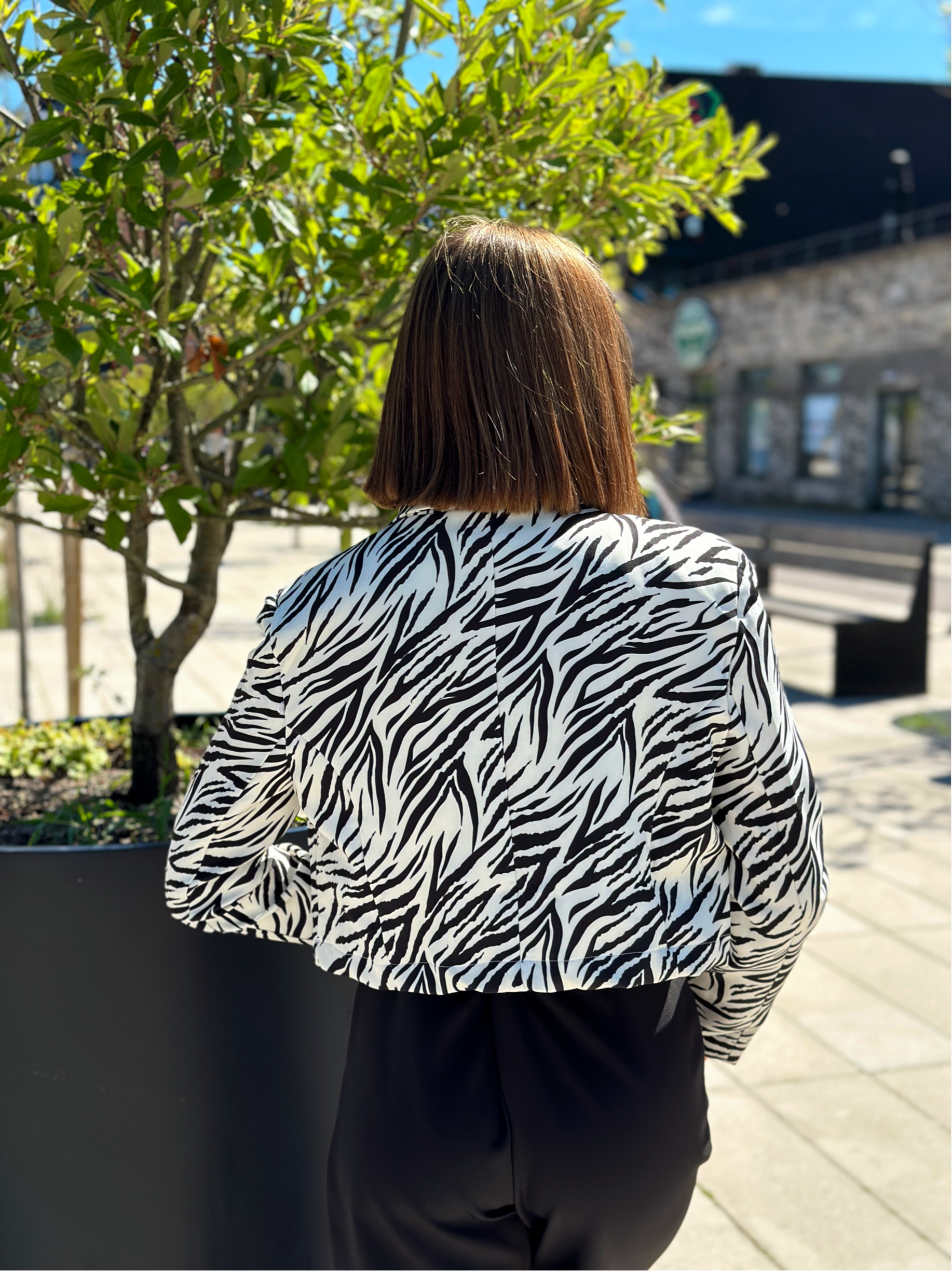 Švarkas ‘Blaner’