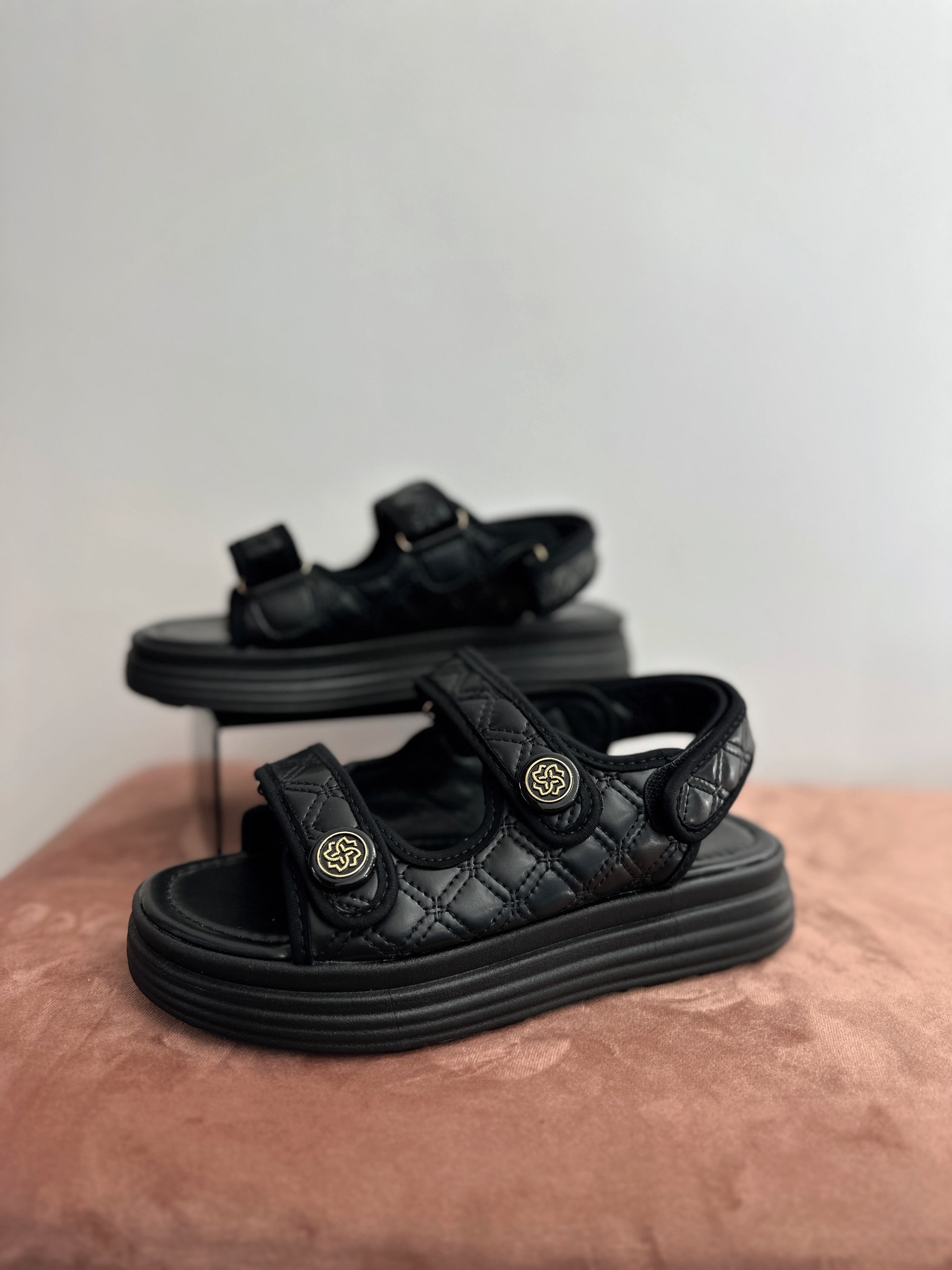 Basutės ‘Black’