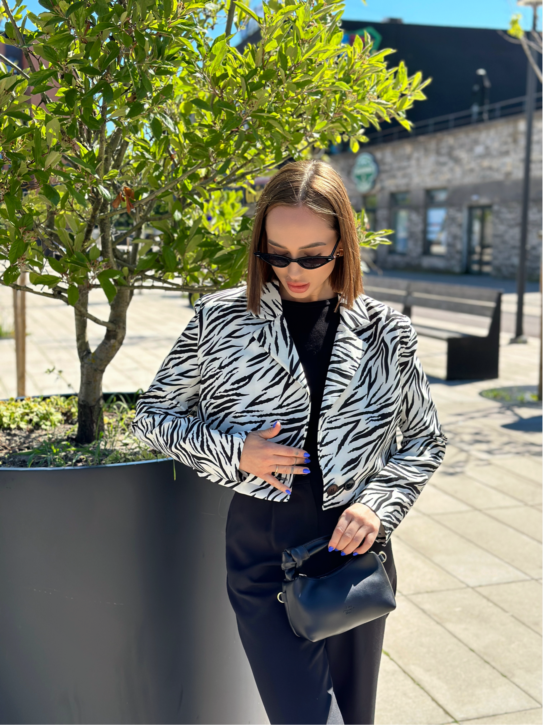 Švarkas ‘Blaner’