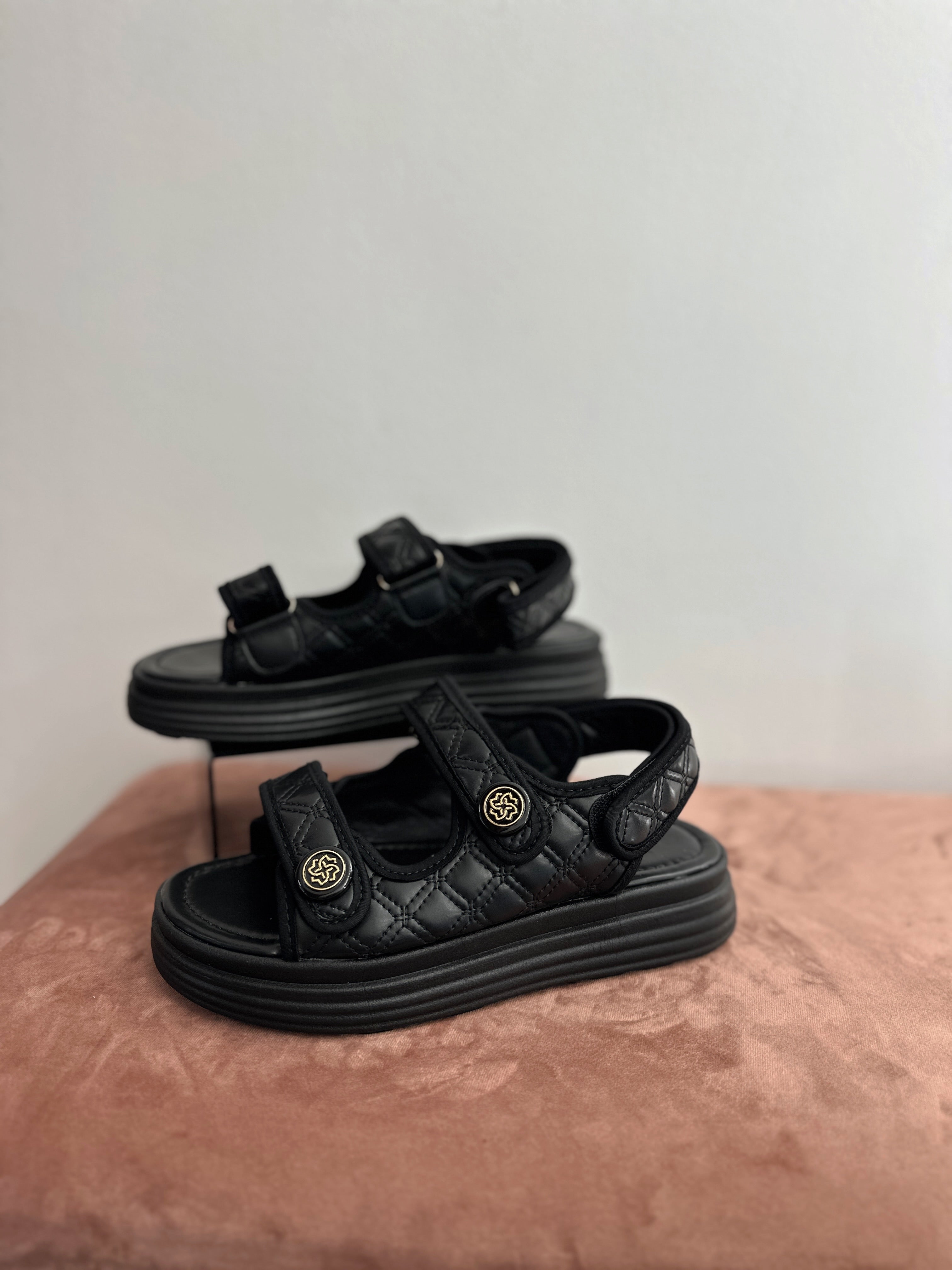 Basutės ‘Black’