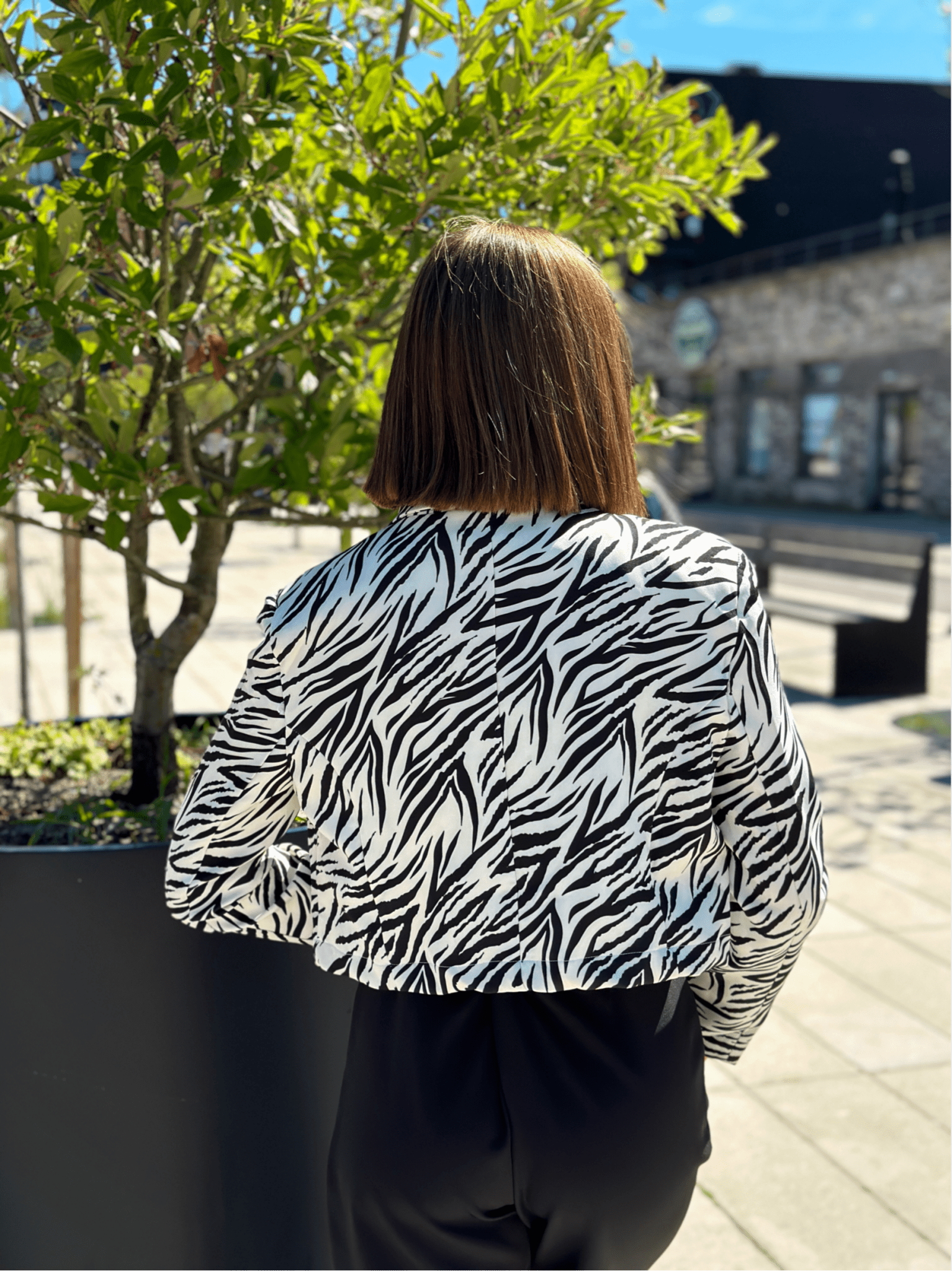 Švarkas ‘Blaner’ - MASIM - 